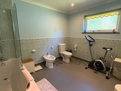 Picture 18
